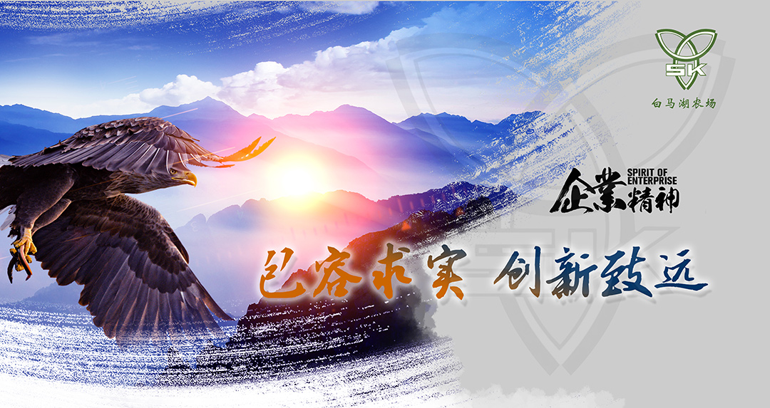 企業(yè)精神