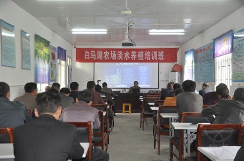 農(nóng)場公司舉辦淡水養(yǎng)殖培訓(xùn)班