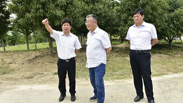 趙亞夫蒞臨白馬湖考察指導(dǎo)工作