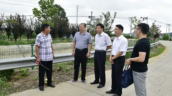 集團公司工會到白馬湖開展送清涼活動