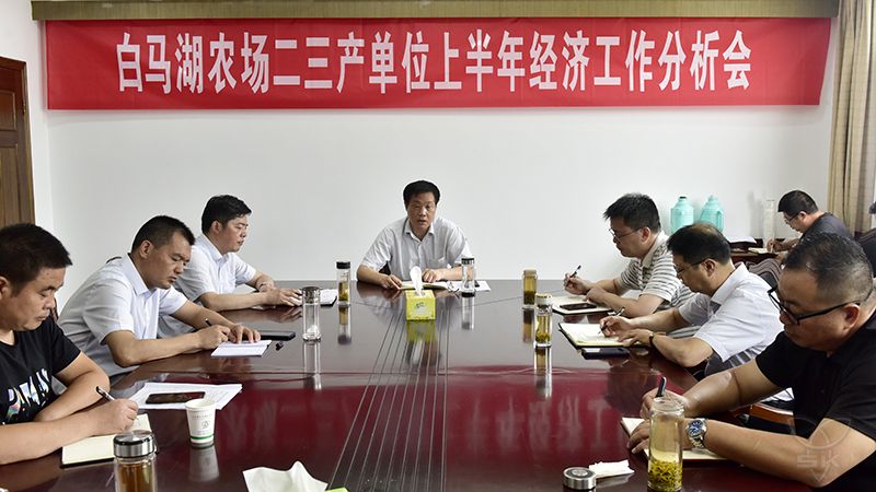 農(nóng)場公司召開上半年經(jīng)濟工作分析會