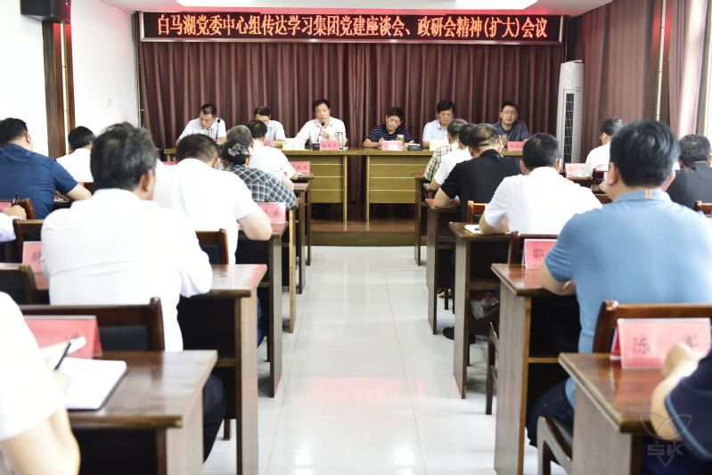 傳達學(xué)習(xí)集團黨建座談會和政研會精神