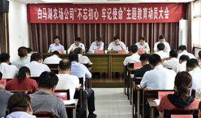 農場公司精心動員、科學布局開展主題教育
