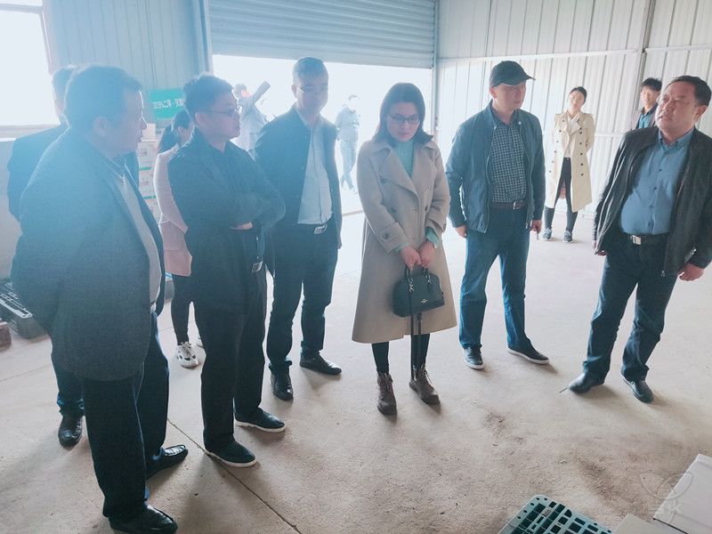 省綠辦檢查驗收白馬湖綠色食品原材料標準化生產基地創(chuàng)建