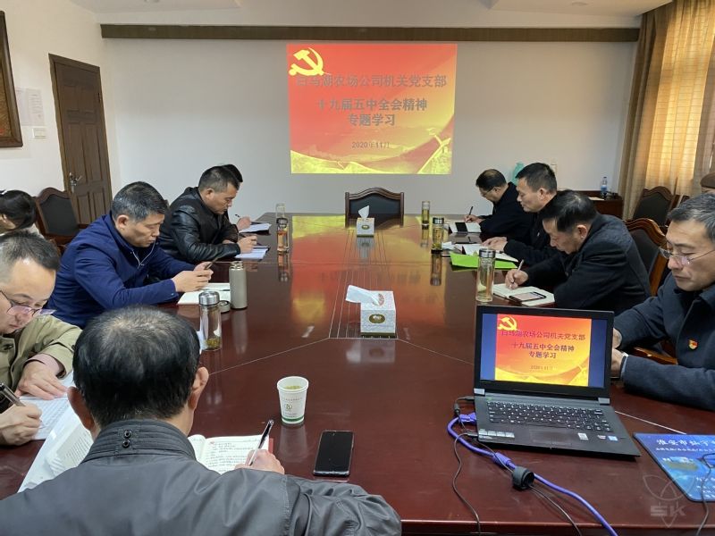 農(nóng)場公司機關(guān)黨支部集中學(xué)習(xí)十九屆五中全會精神