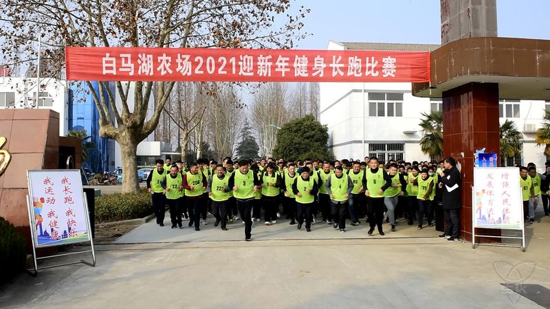 農場公司成功舉辦迎新年健身長跑比賽