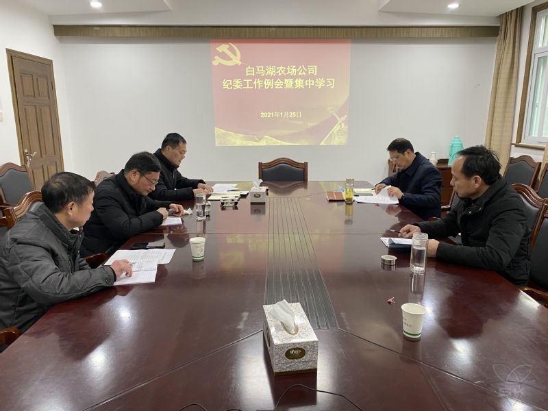 農(nóng)場公司紀(jì)委組織開展集中學(xué)習(xí)