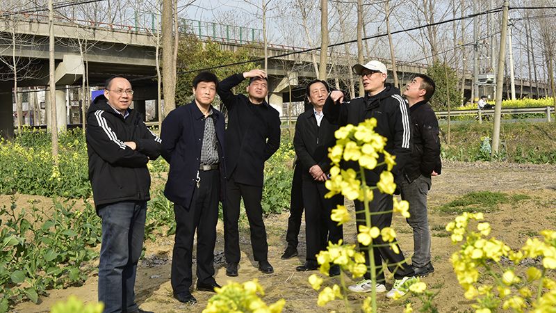 農場公司邀請南林大專家考察指導林苗一體化生產