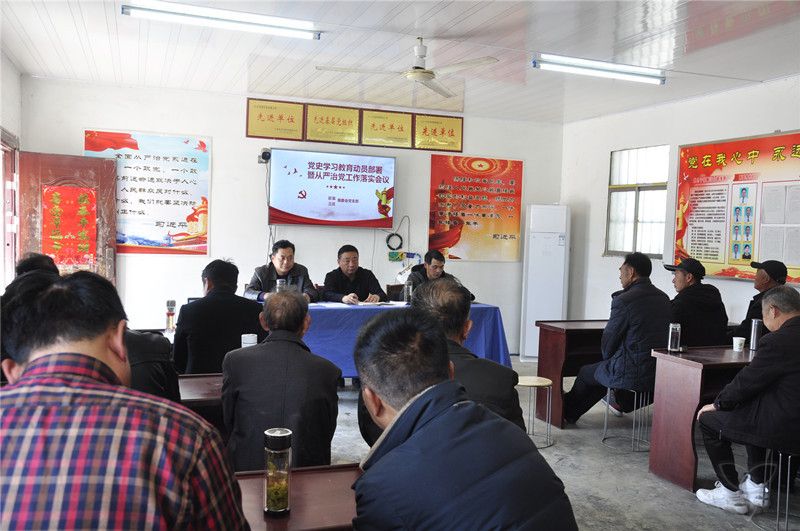 邵集三莊黨支部聯(lián)合召開黨史學習教育動員部署暨全面從嚴