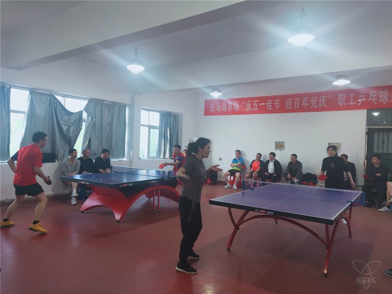 農場公司工會舉辦“慶五一佳節(jié) 迎百年黨慶”職工乒乓球賽