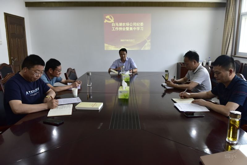 農(nóng)場公司紀(jì)委舉行工作例會并集中學(xué)習(xí)