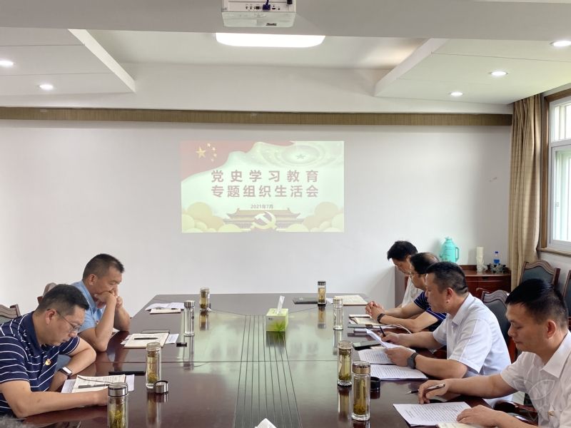 農(nóng)場公司機關(guān)黨支部召開黨史學習教育專題組織生活會
