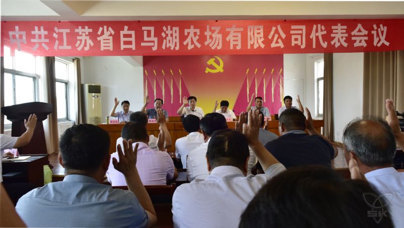 農(nóng)場公司召開黨代表會議成功選舉產(chǎn)生淮安區(qū)黨代會代表