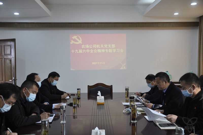 農(nóng)場公司機(jī)關(guān)黨支部舉行六中全會(huì)精神專題學(xué)習(xí)會(huì)