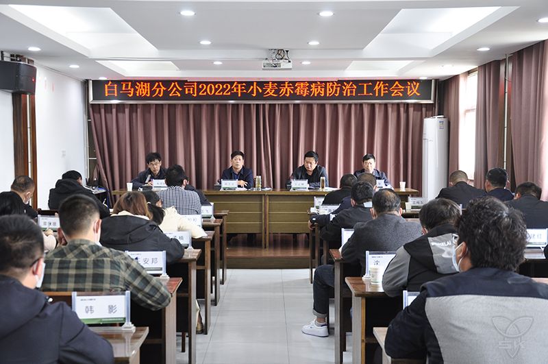 分公司召開(kāi)小麥赤霉病防治工作會(huì)議