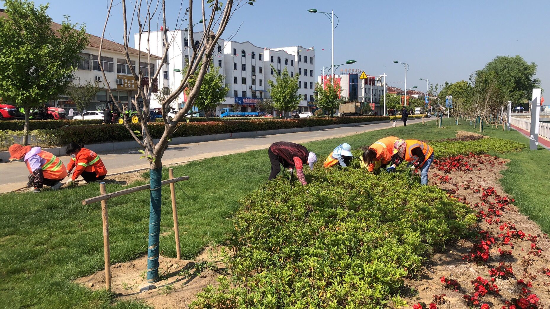 農(nóng)場扎實開展十排溝沿線環(huán)境整治行動