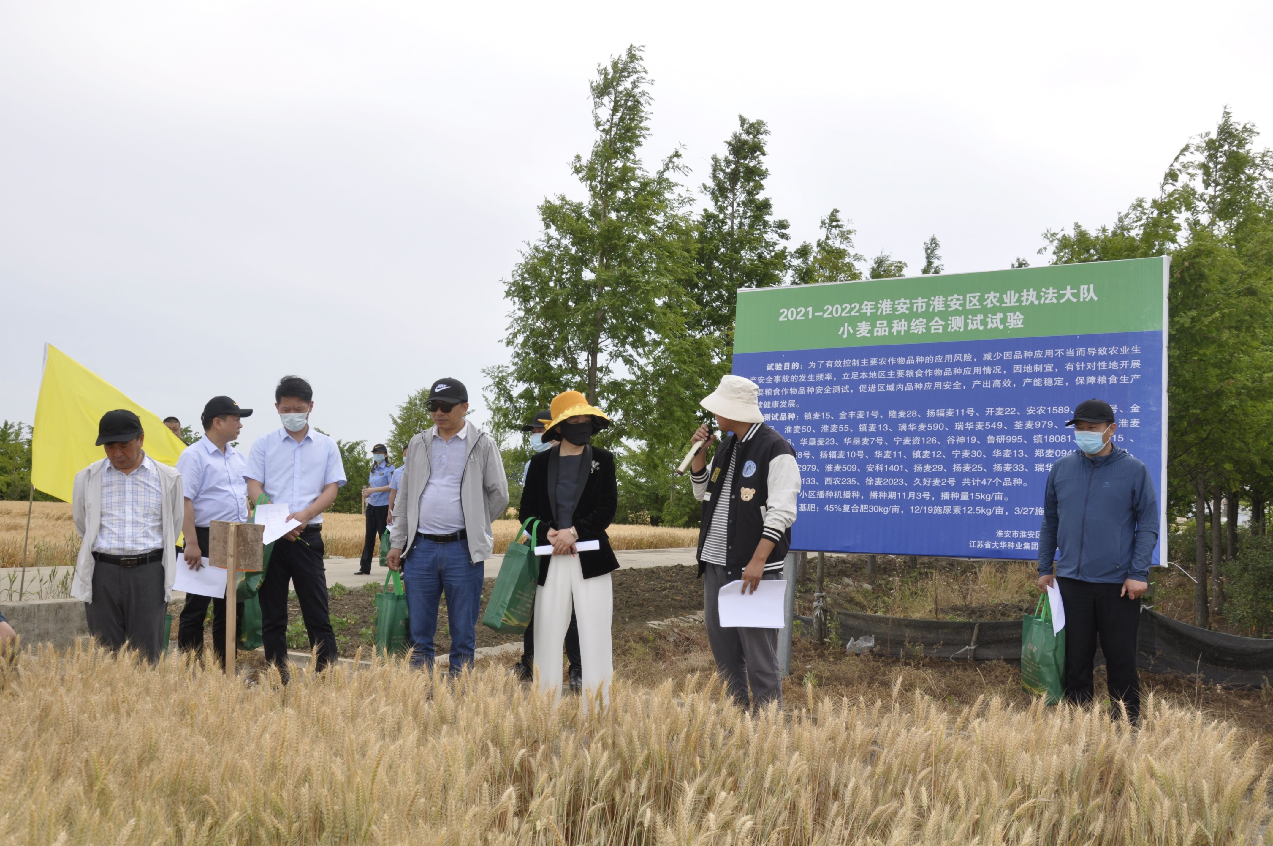區(qū)農(nóng)業(yè)執(zhí)法大隊在大華白馬湖分公司舉辦小麥品種觀摩會