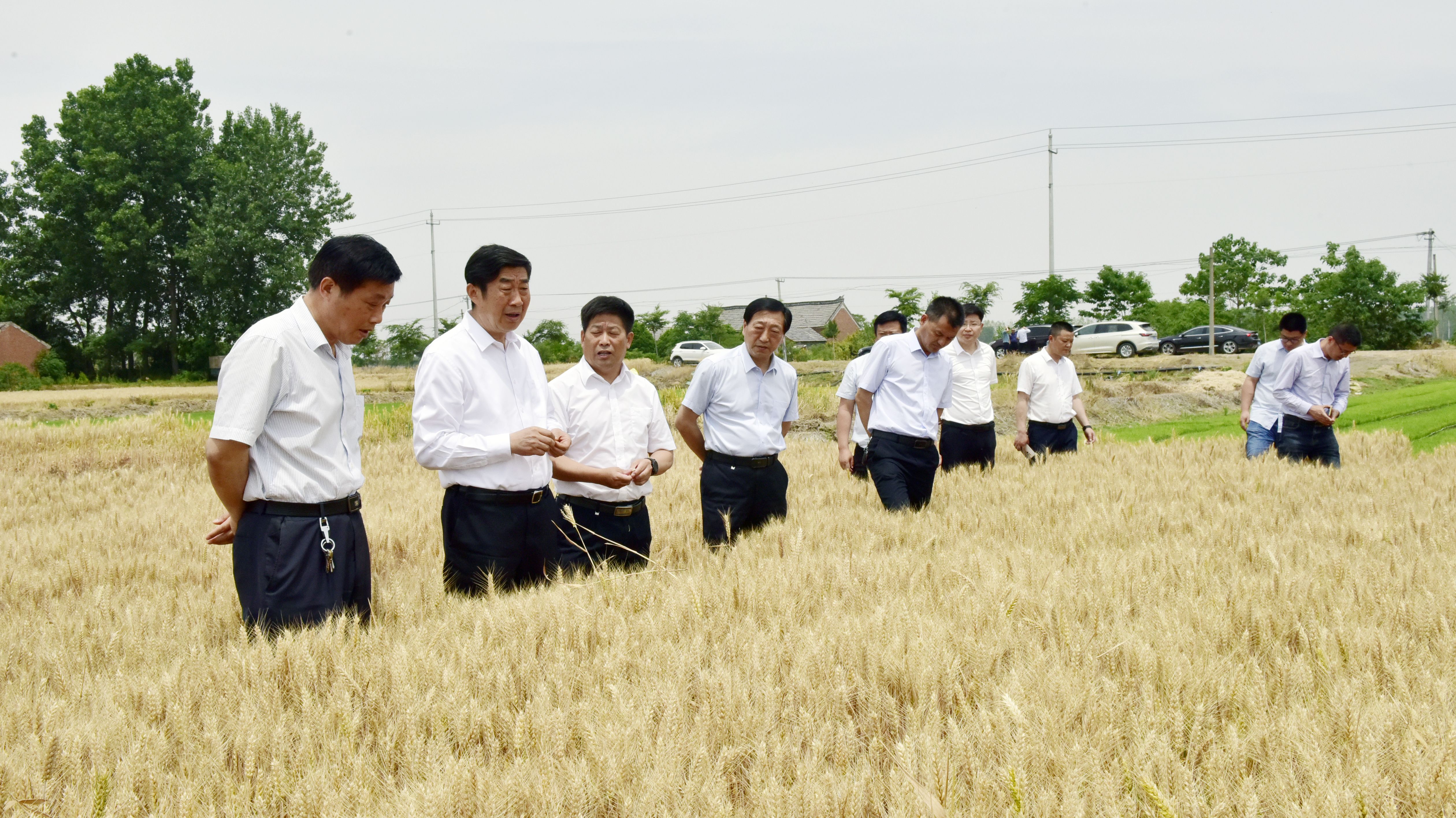 胡兆輝來農(nóng)場公司考察調(diào)研