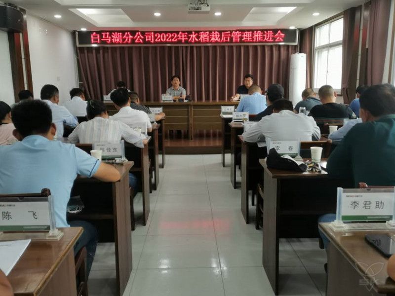 白馬湖分公司召開水稻播栽后管理推進會