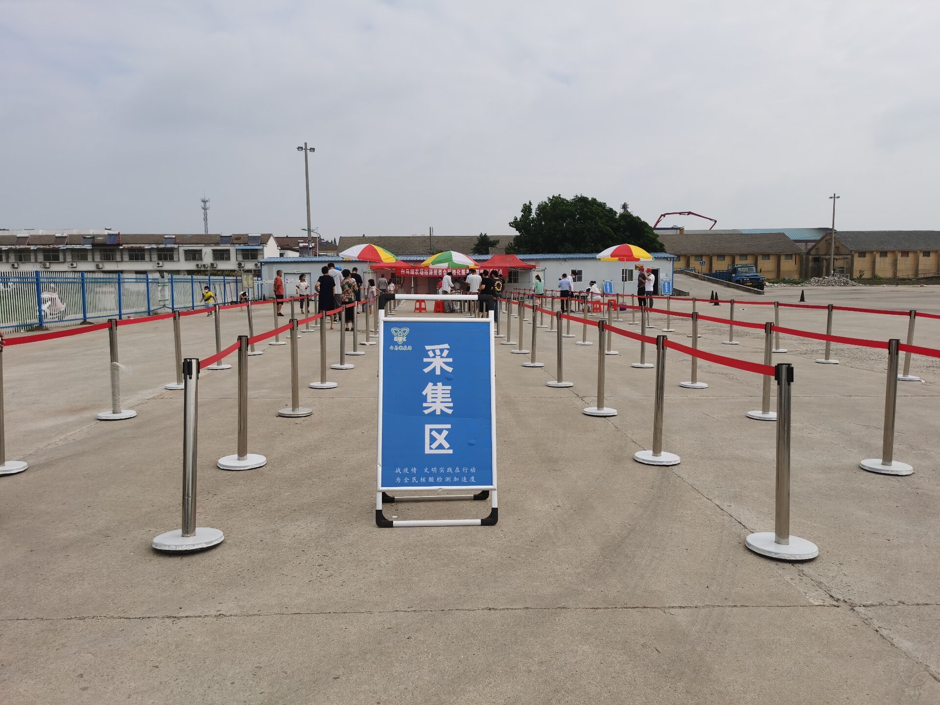 農(nóng)場(chǎng)公司全面完成新一輪全員核酸檢測(cè)任務(wù)