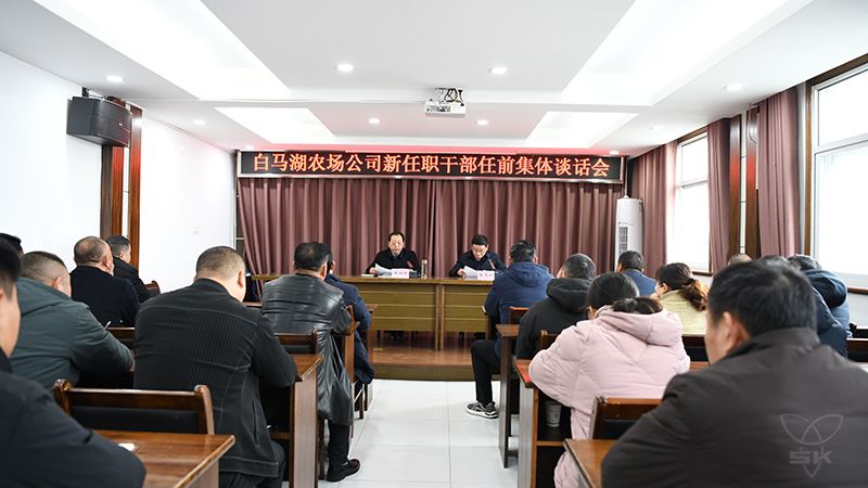 農(nóng)場公司紀(jì)委對履新人員開展任前集體廉潔談話