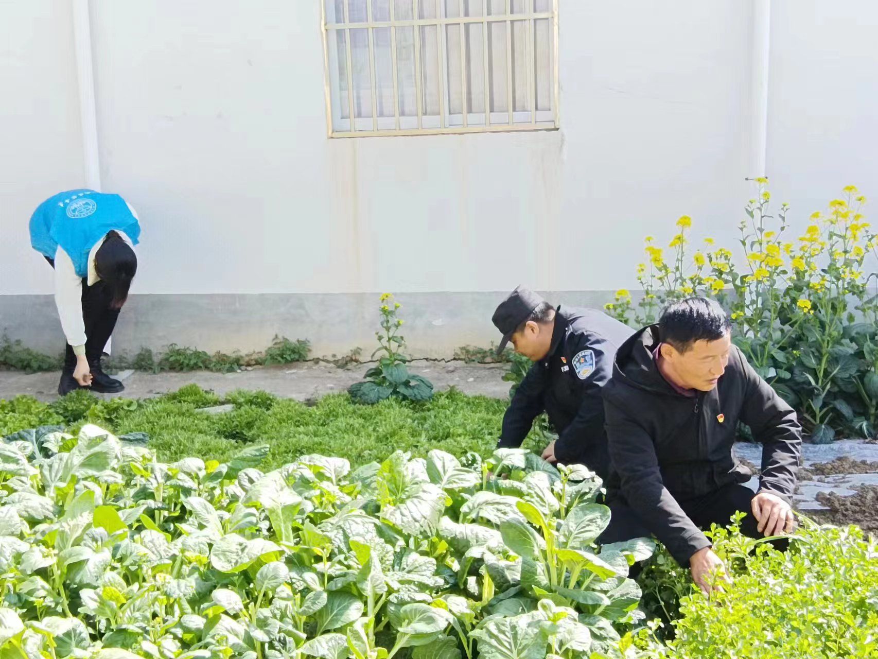 王莊居委會(huì)：踏查宣傳兩手抓?禁種鏟毒守凈土