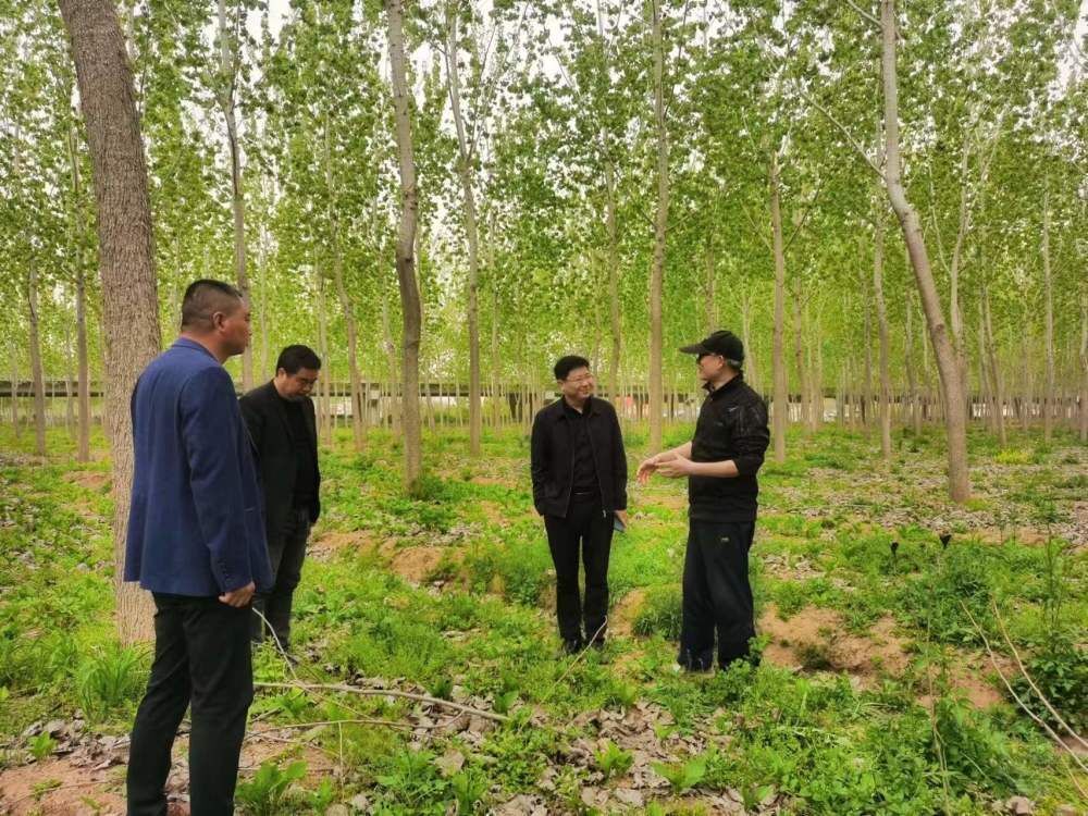 南林大唐羅忠教授來(lái)農(nóng)場(chǎng)公司考察調(diào)研林業(yè)項(xiàng)目