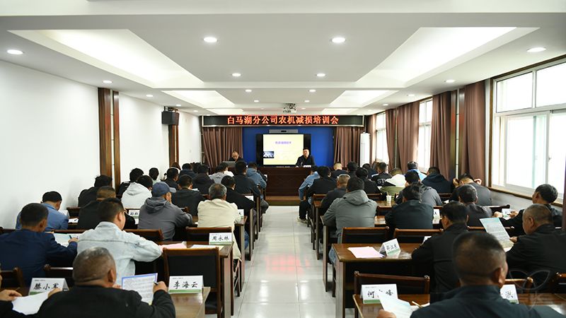 減損保收提效益 分公司在行動