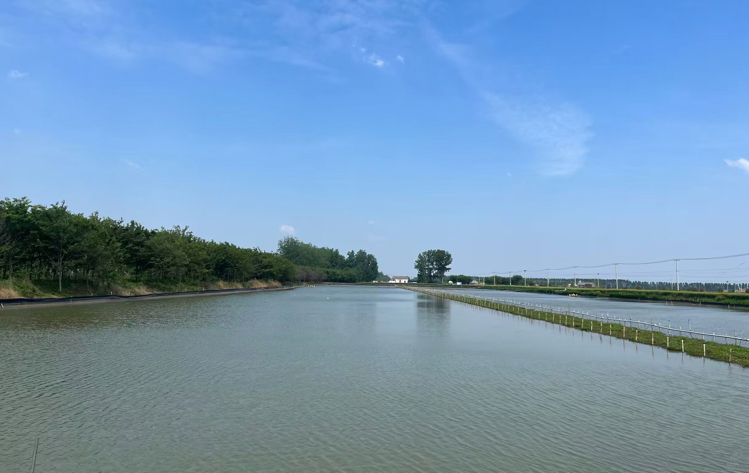 畜水中心：生態(tài)養(yǎng)殖讓小龍蝦成“致富蝦”
