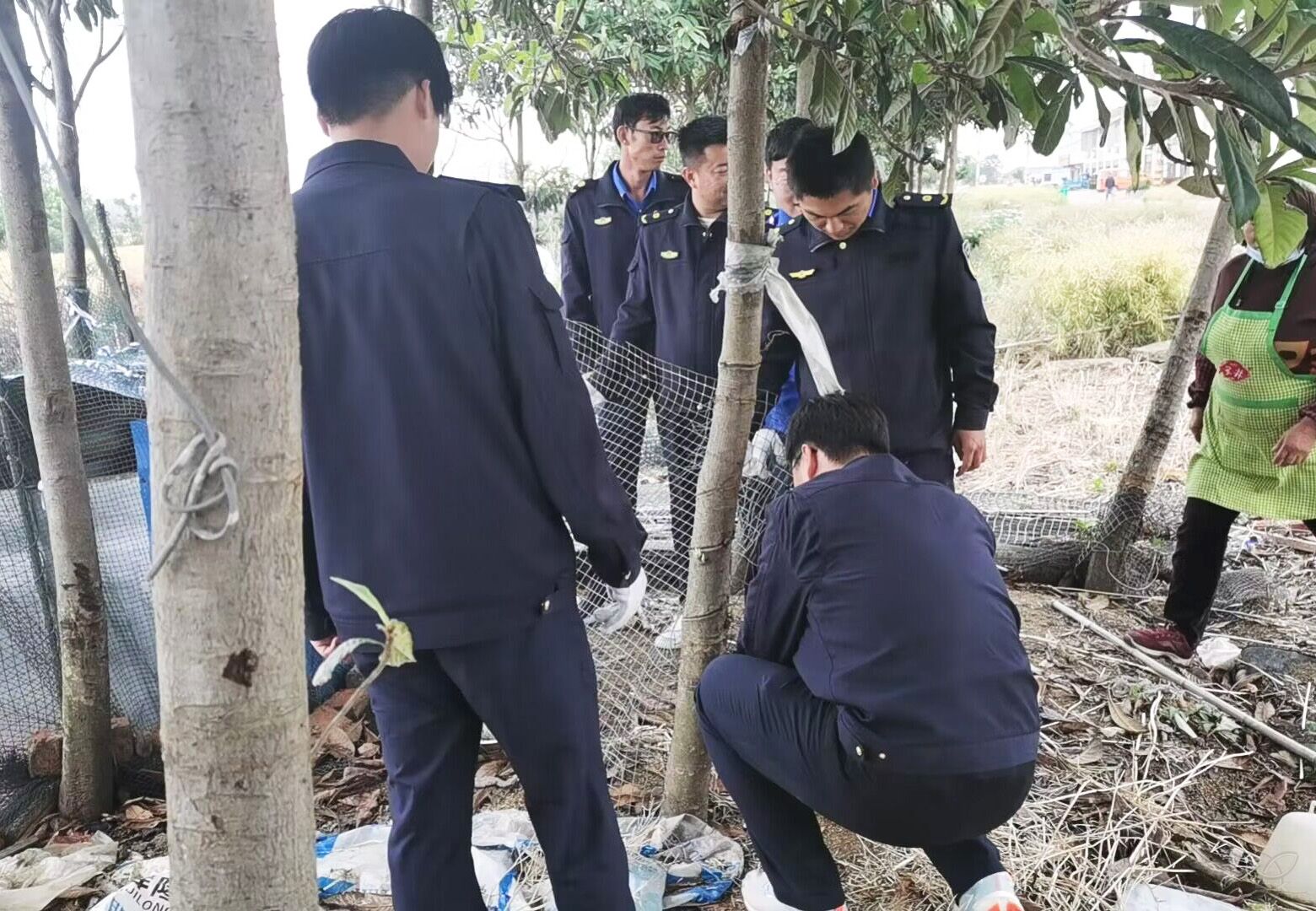 城管隊(duì)、六支居委會(huì)：重拳整治私搭亂建雞舍鴨棚