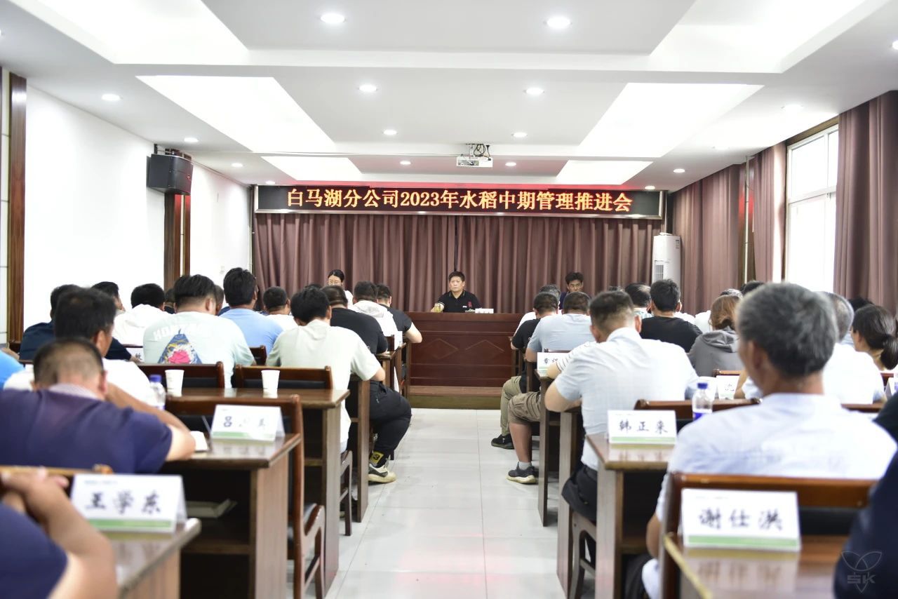 白馬湖分公司召開2023年水稻中期管理現(xiàn)場推進會