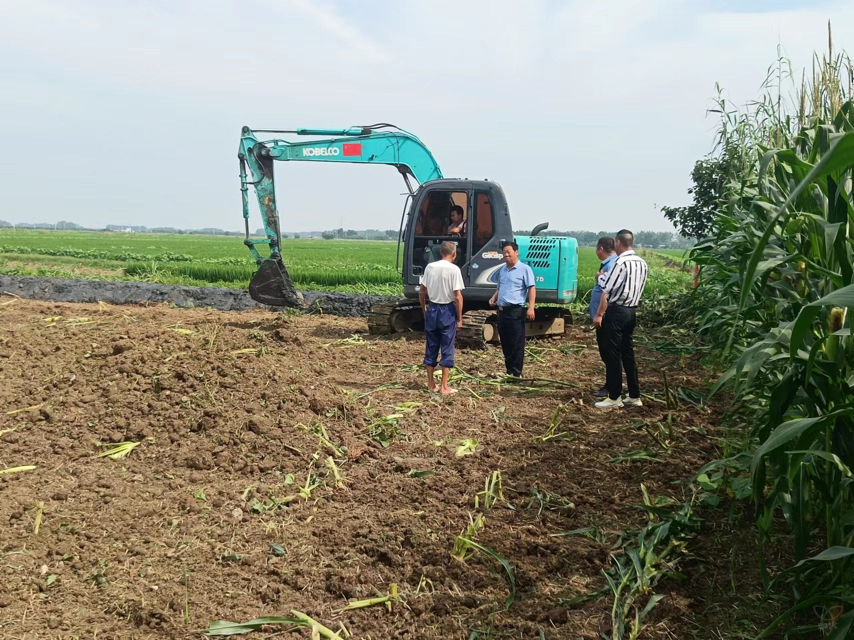 張徐居委會：多舉措推進“旱改水”項目建設(shè)