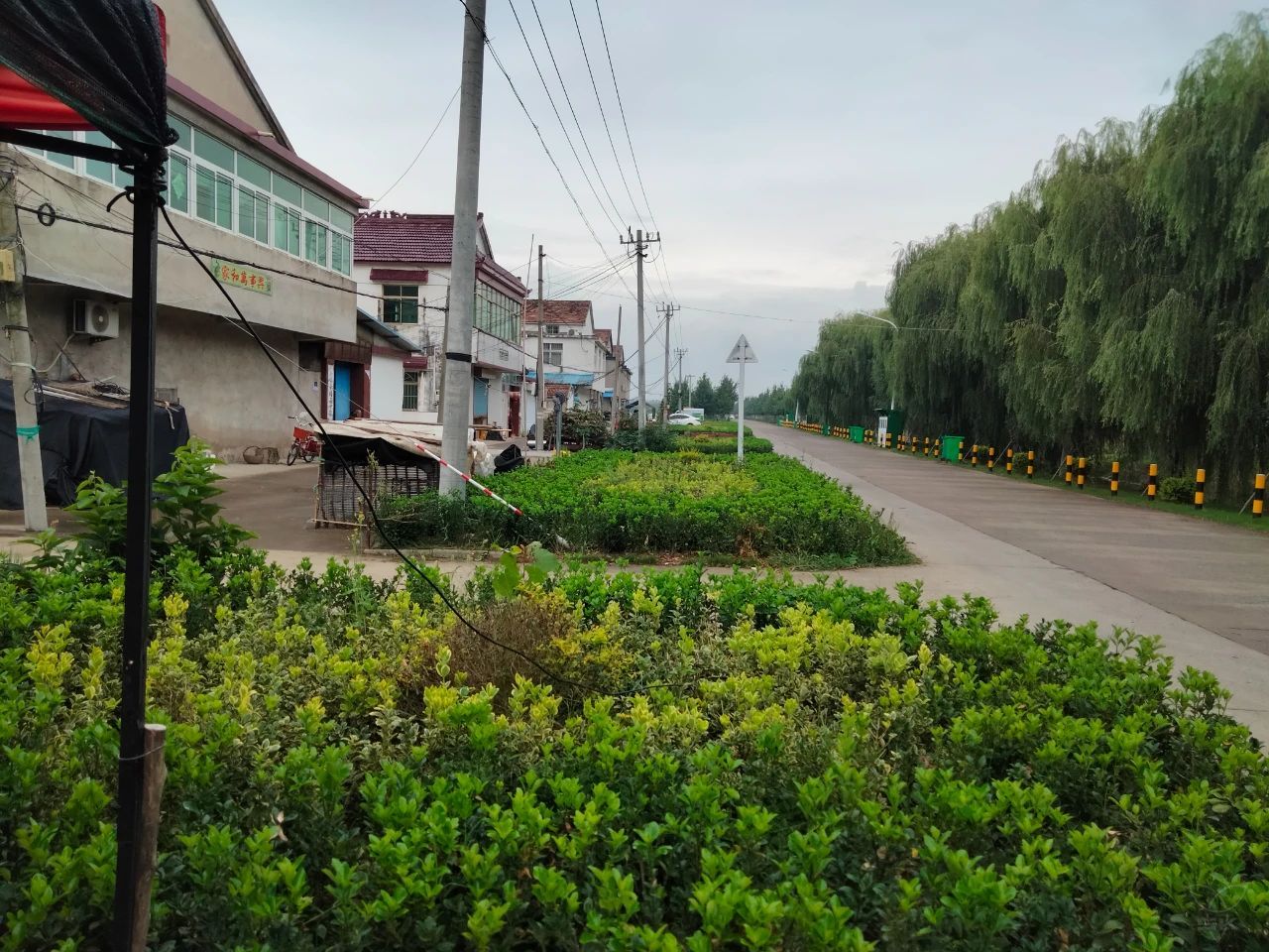 三莊居委會：環(huán)境整治不停歇 描繪宜居新容顏