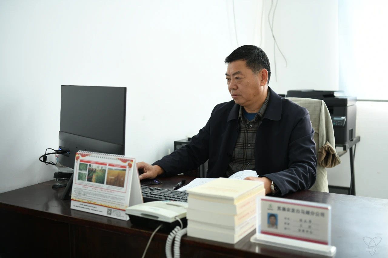 【貫徹集團(tuán)黨代會(huì)精神丨談落實(shí)、話發(fā)展】④