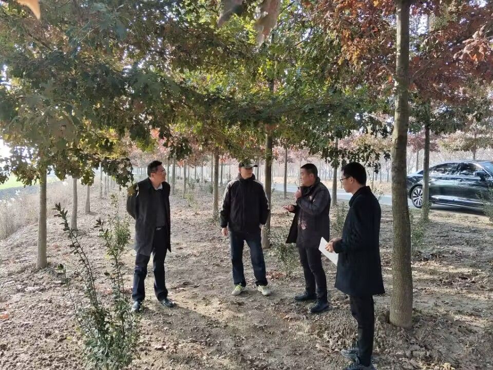 南京林業(yè)大學專家來農場公司指導林業(yè)發(fā)展規(guī)劃