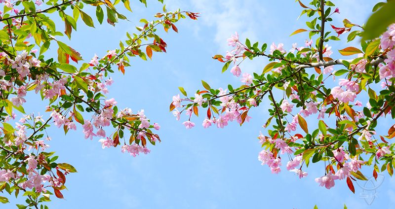 一路“繁花”，白馬湖“美麗經(jīng)濟(jì)”持續(xù)升溫