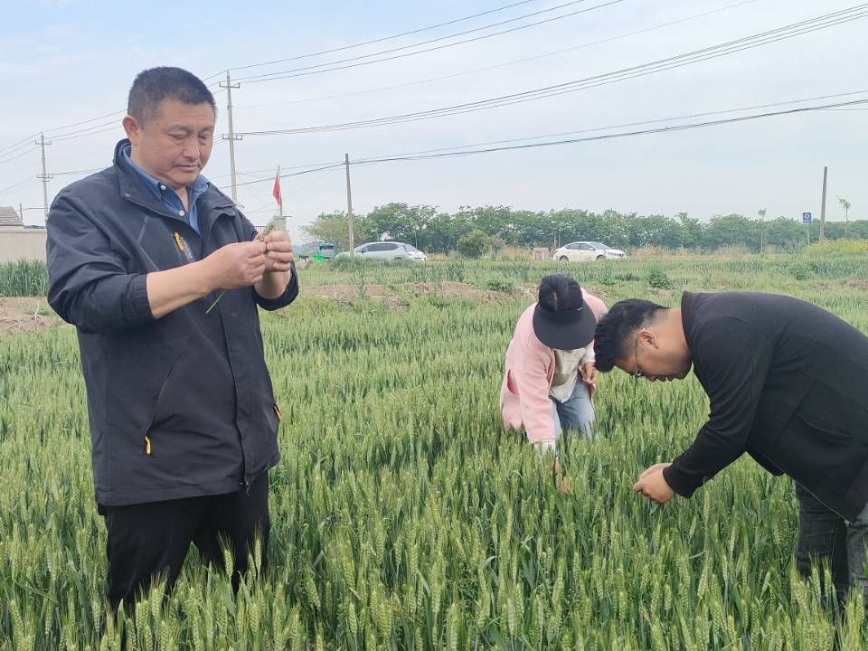 “五一”我在崗丨第五生產(chǎn)區(qū)：踏田巡查 護航春耕