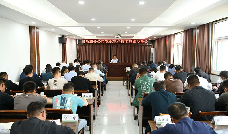 分公司召開農(nóng)業(yè)管理經(jīng)驗交流會