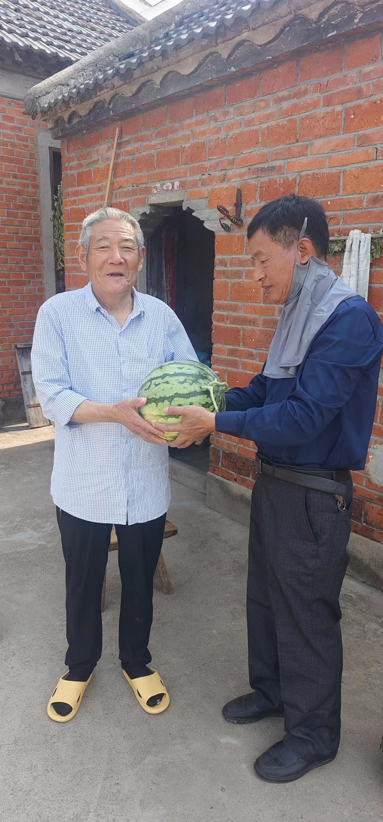 王莊居委會黨支部：夏日送“清涼” 關(guān)懷沁人心