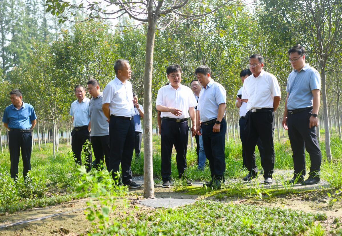 農(nóng)場(chǎng)公司組織赴新曹新洋考察交流