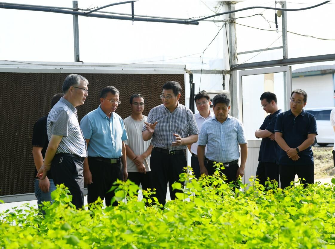 王立新到白馬湖調(diào)研推進(jìn)特色產(chǎn)業(yè)發(fā)展