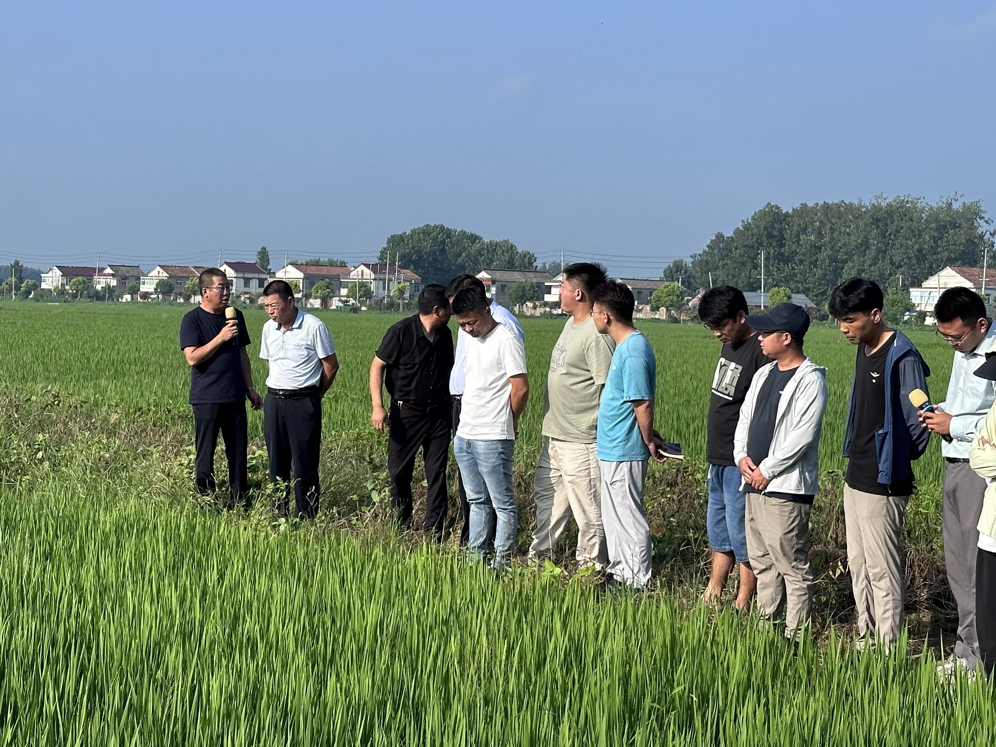 分公司召開水稻生育期管理工作會(huì)議