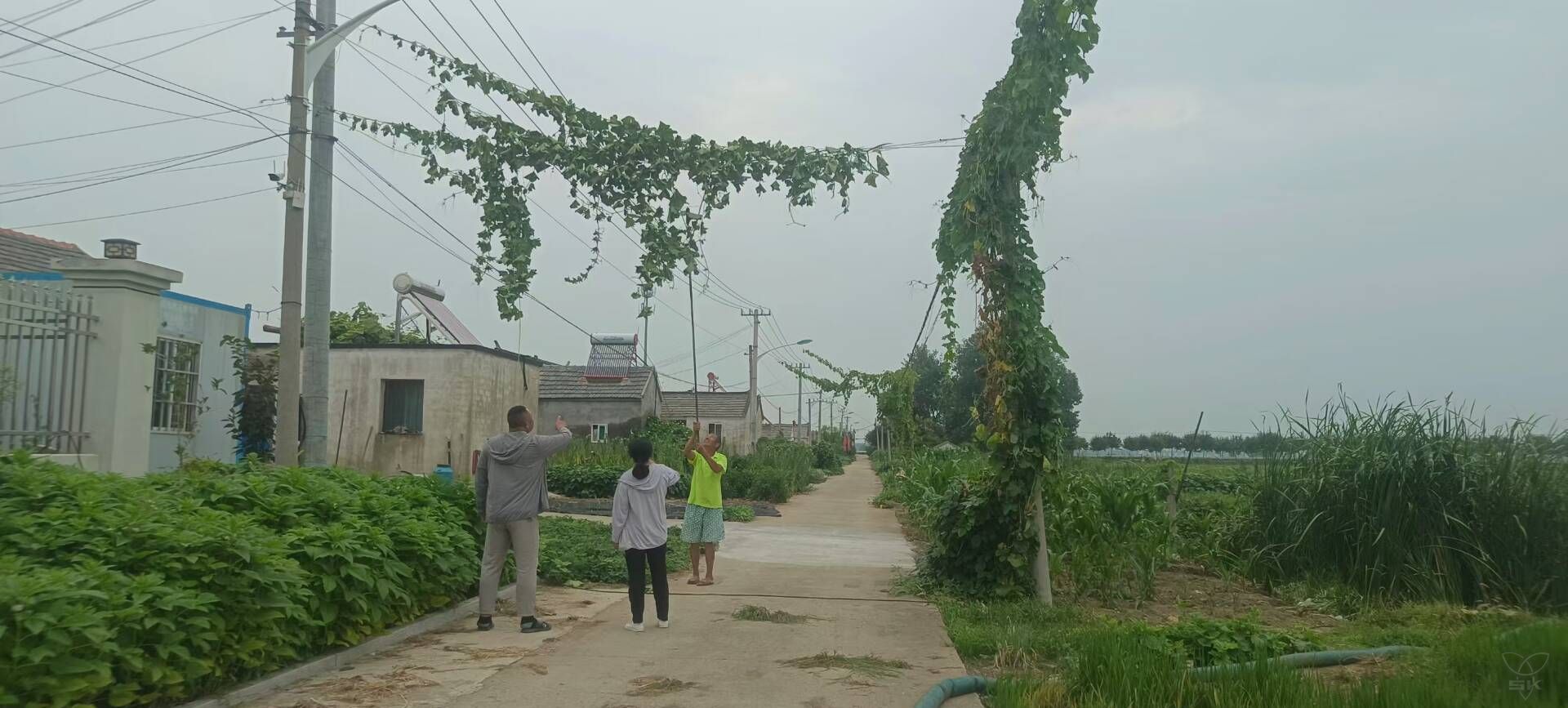 六支居委會(huì)：消除觸電隱患 守護(hù)平安家園