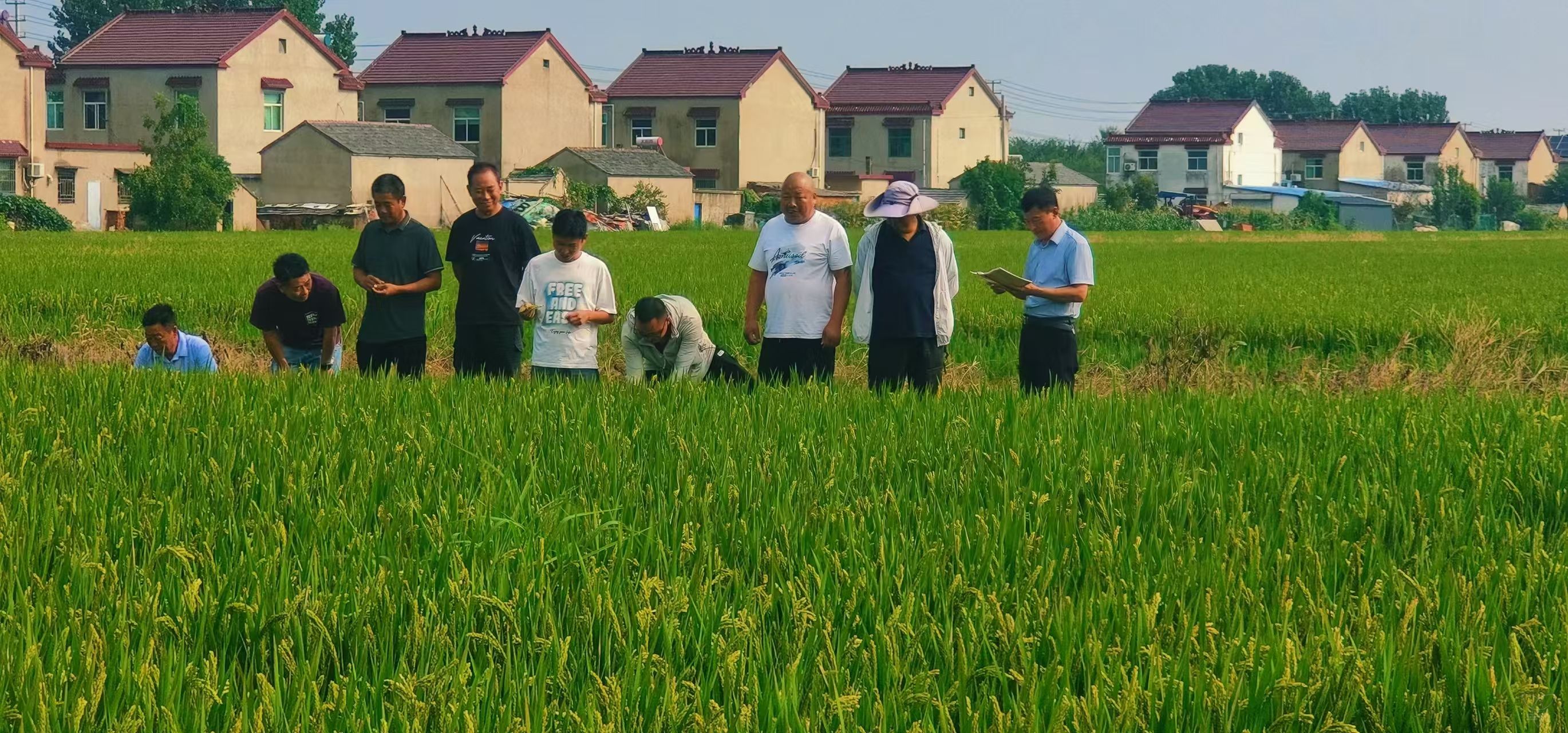 學(xué)習(xí)貫徹三中全會(huì)精神丨王莊居委會(huì)黨支部：以精神鼓士氣 以黨建促生產(chǎn)