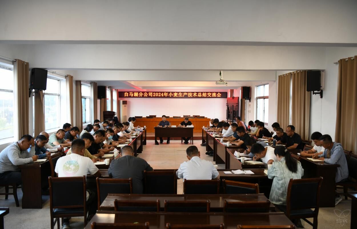 備戰(zhàn)“三秋”丨分公司召開2024年小麥生產(chǎn)技術(shù)總結(jié)交流會(huì)