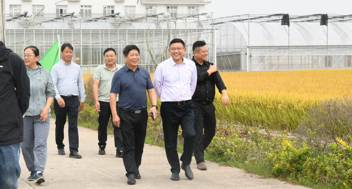 黏土地片區(qū)水稻試驗(yàn)與品種觀摩會(huì)在白馬湖召開