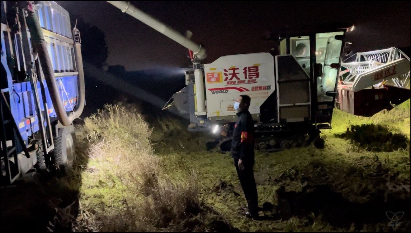 收獲在金秋④丨黨建引領(lǐng)助“三秋” 干群同心保全勝
