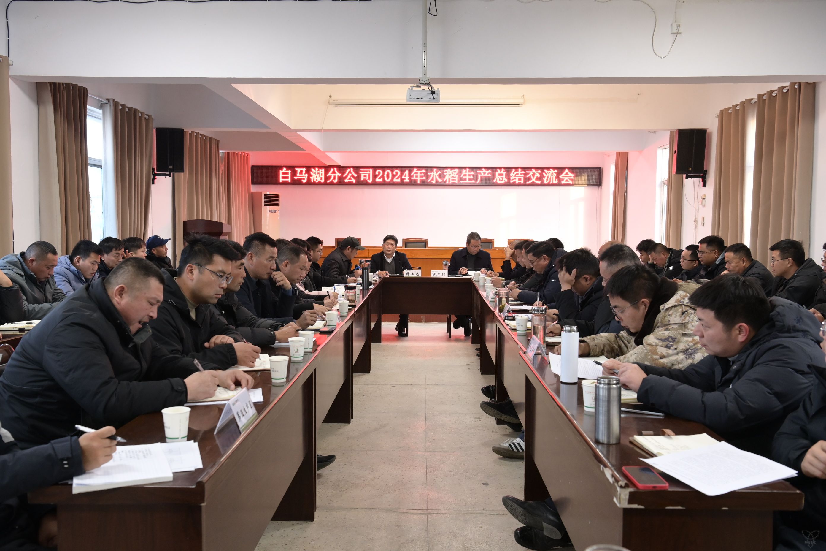 分公司召開2024年水稻生產(chǎn)總結(jié)交流會(huì)