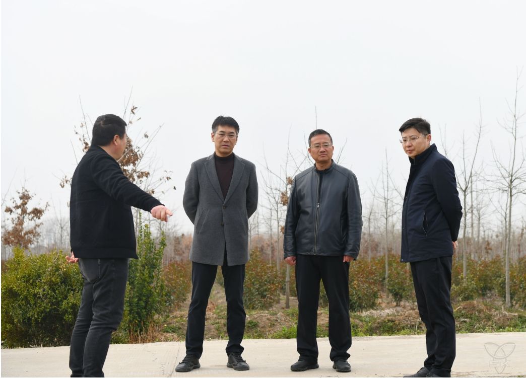 集團(tuán)科技信息部到白馬湖調(diào)研