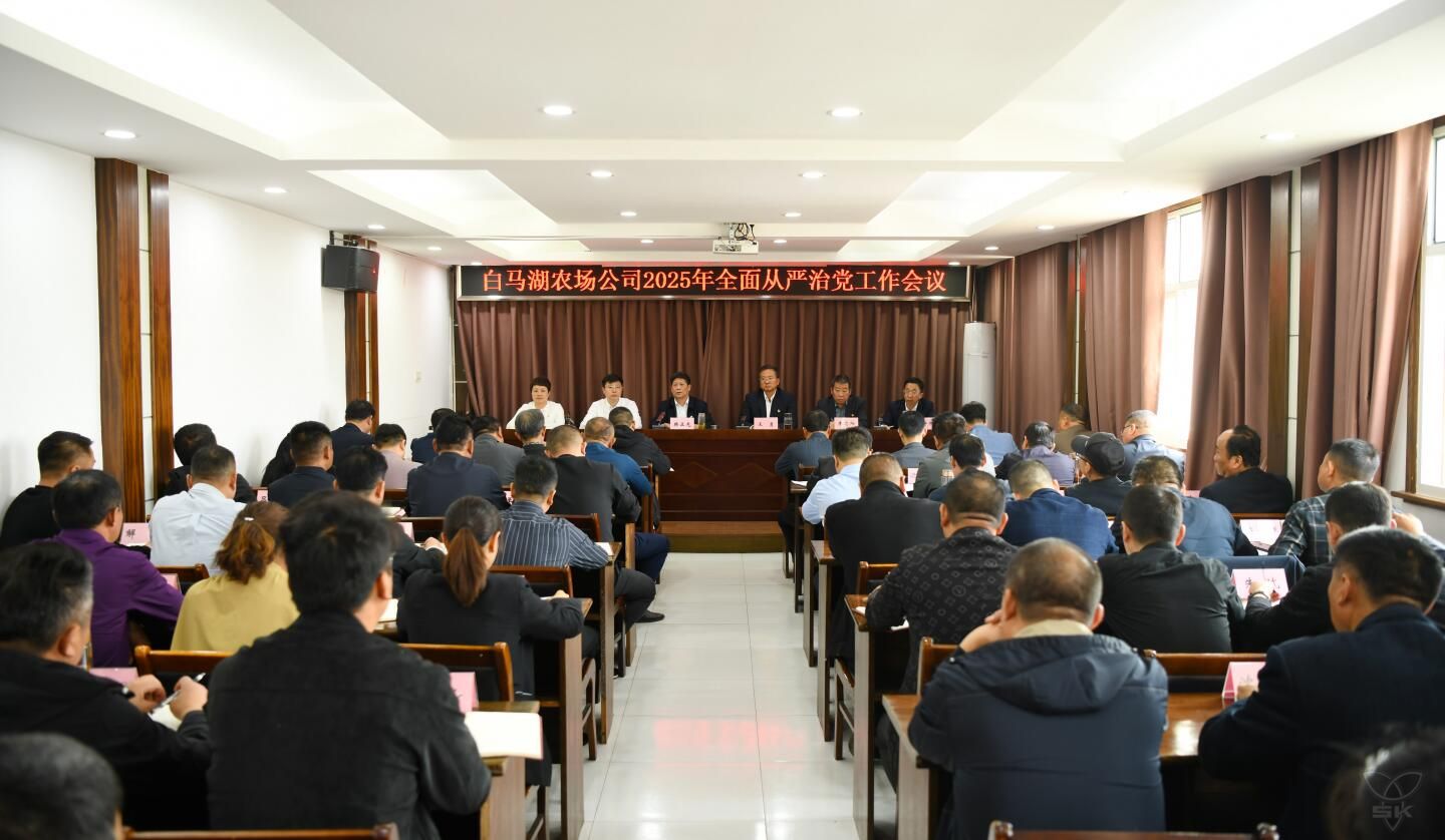 農(nóng)場(chǎng)公司召開2025年全面從嚴(yán)治黨工作會(huì)議
